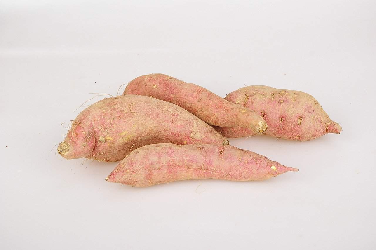 Batáty sladké brambory 