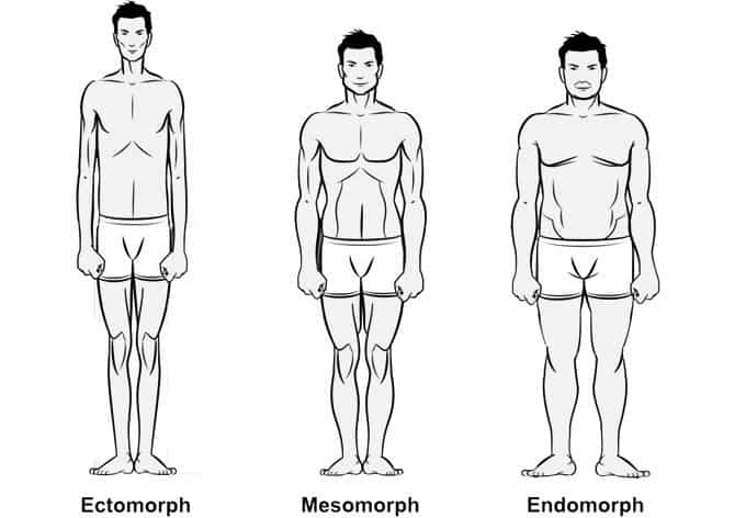 súlyvesztés a mezo-endomorf esetében)