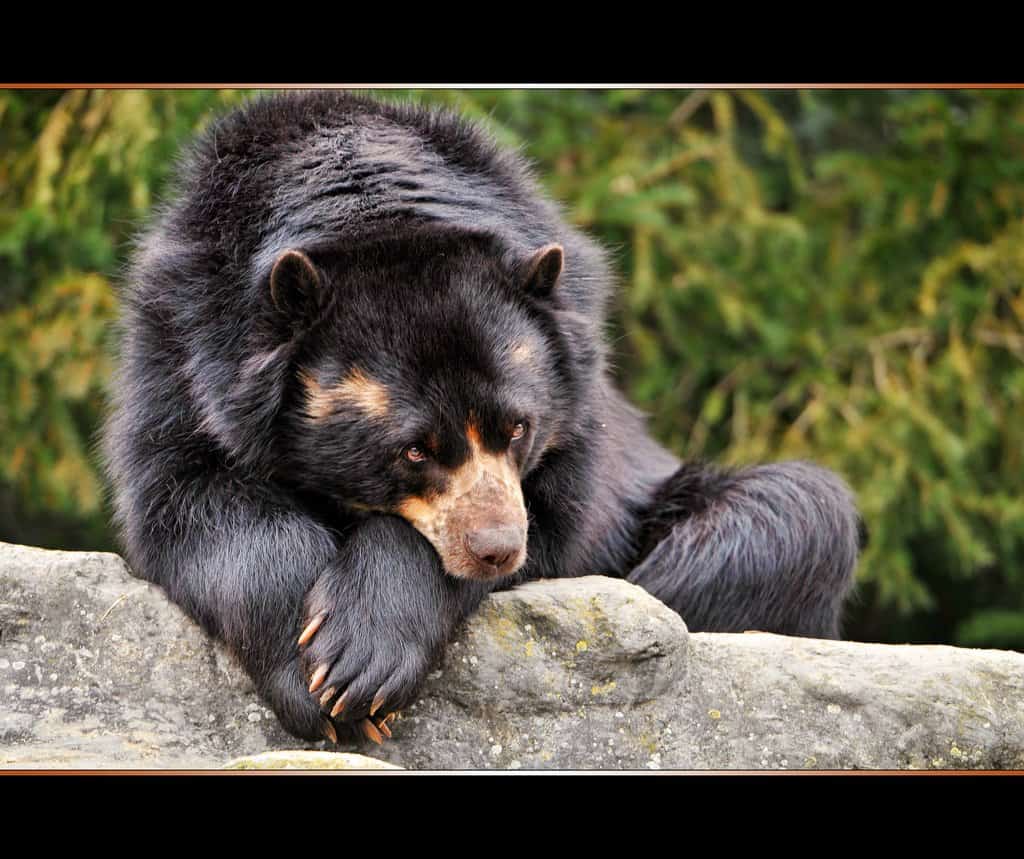 Zlé časy občas přijdou