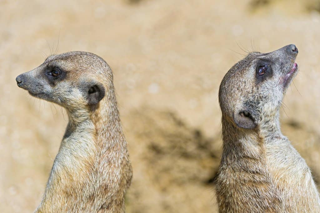 Fitness strategie a které jsou ty správné?