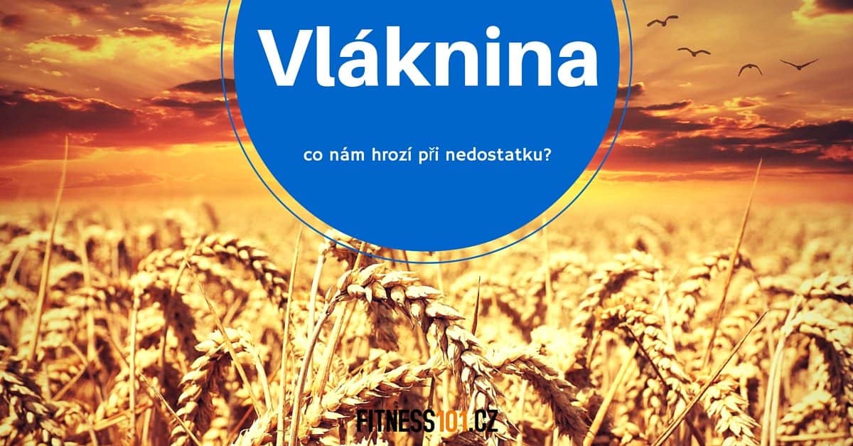 Jak zvýšit příjem vlákniny pro lepší zdraví