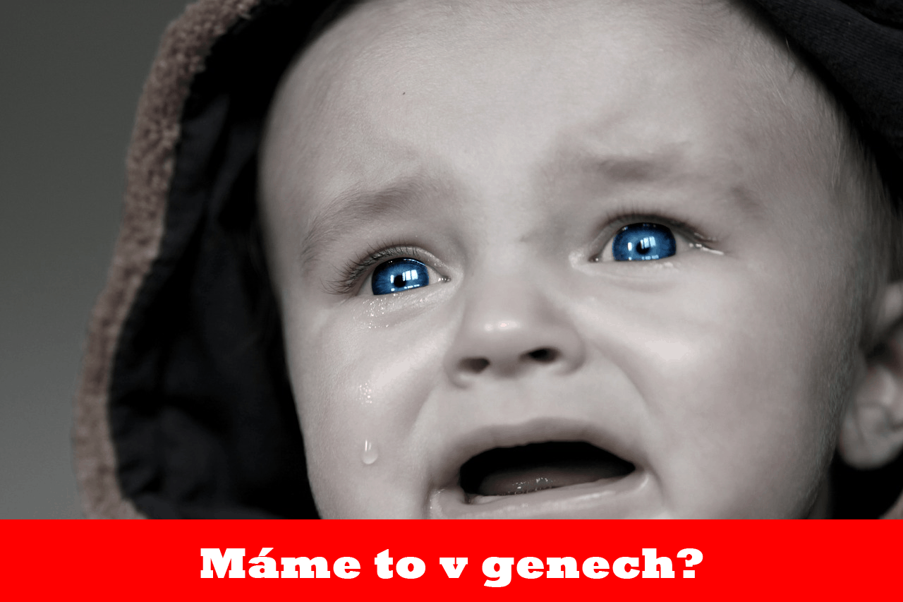 Máme nadváhu v genech? A co když je to jen výmluva?