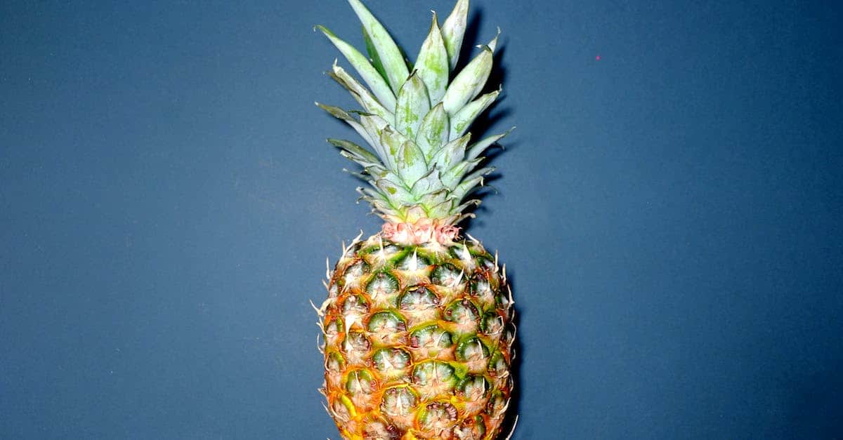 Ananas: Zdravotní přínosy a tipy do kuchyně