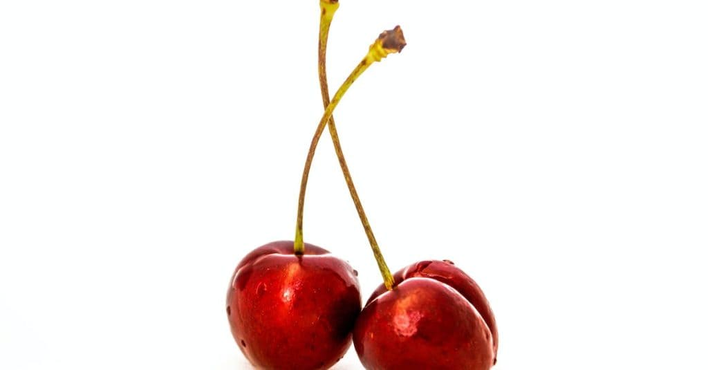 Třešně: Pěstování, Zdraví a Recepty 1