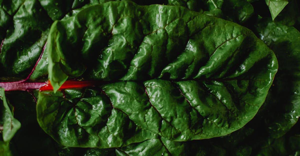 Mangold: Pěstování a Recepty pro Zdravou Stravu